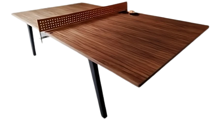 Ping Pong Integra